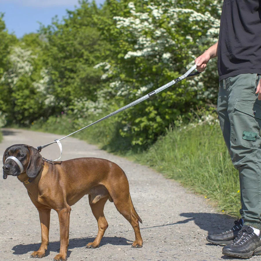 Flat Figure of 8 Dog Lead with Padding